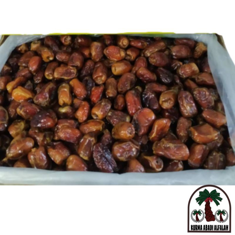 Kurma Mesir 5kg/Kurma mesir madu giza dates/Kurma madu mesir