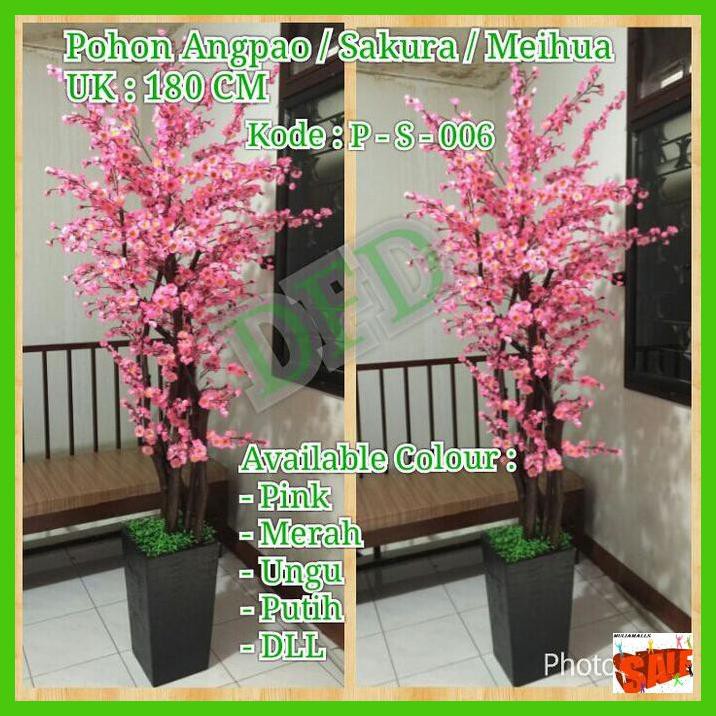 

NASIKUL- POHON ANGPAO / POHON SAKURA / MEIHUA ( UK : 180 CM ) -ASLII.