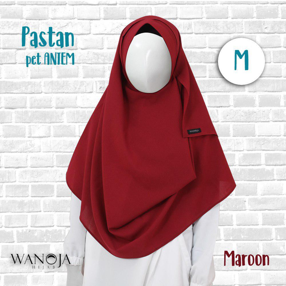 Pashmina Instant Pastan Pet Antem Wanoja Hijab
