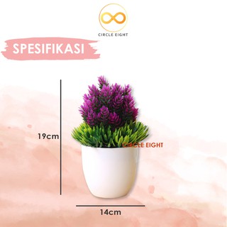 Pot Tanaman Bunga Dekorasi Rumah Tanaman Hias Plastik Pot Tanaman Bunga Dekorasi Rumah Tanaman Hias Plastik