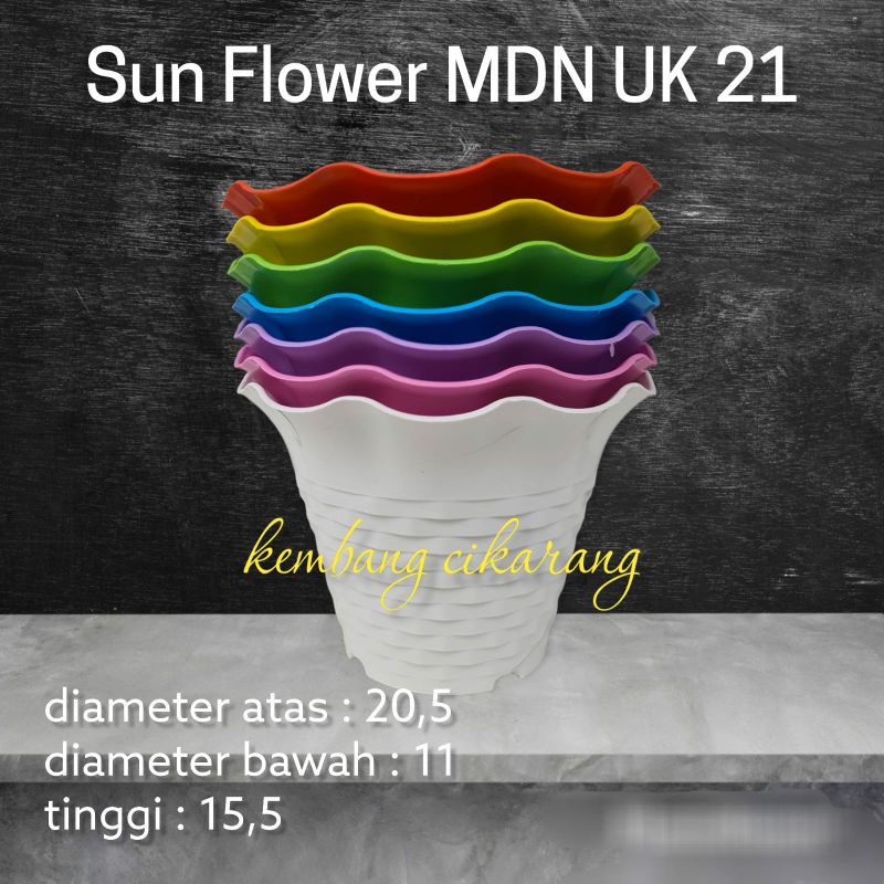 SUN FLOWER MDN UK 21 pot bunga cantik murah bagus ukuran 21 bukan pot tawon