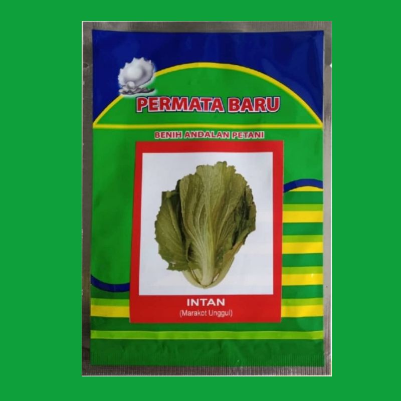 Benih Sawi Pahit Intan 10gram Bibit Sawi Pahit Marakot INTAN