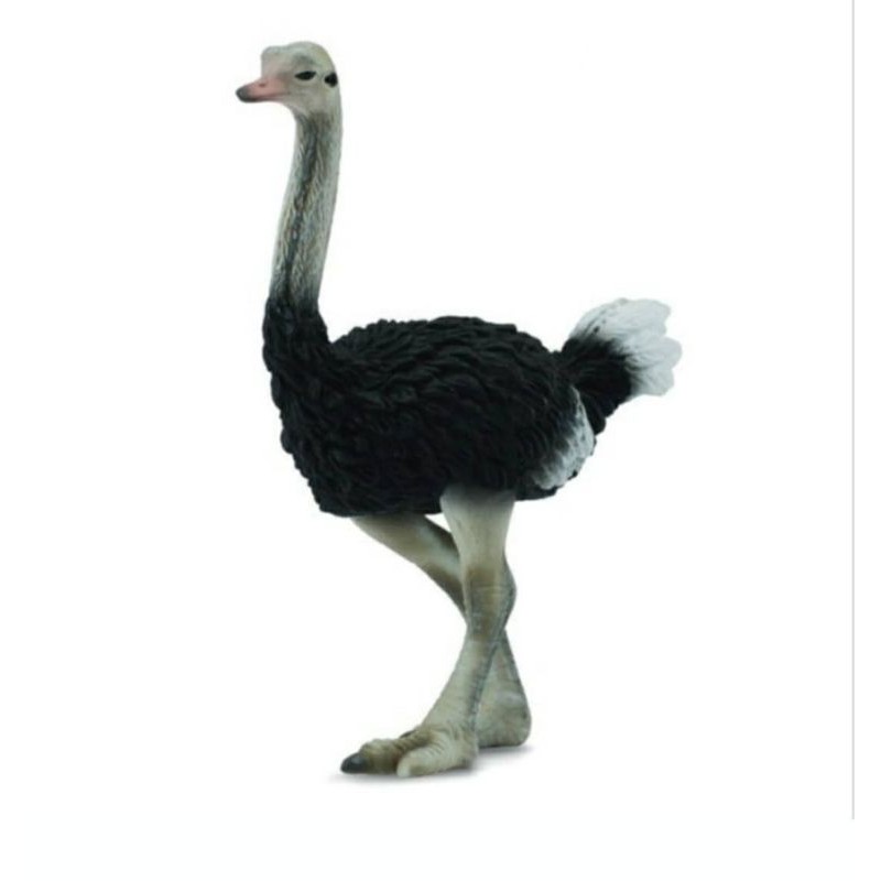 Collecta Ostrich