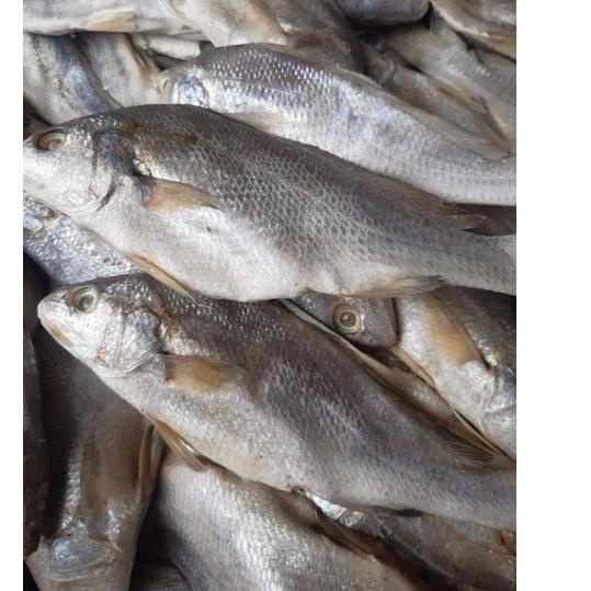 

[DISCOUNT IJH46] Ikan Asin Sileman 500 gr Ready Stock