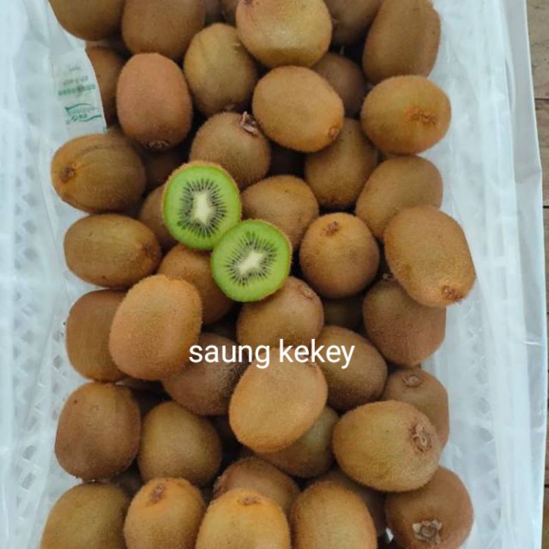 

BUAH KIWI SEGAR