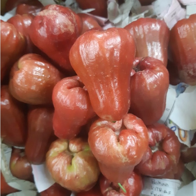

Jambu Citra Bandung Area