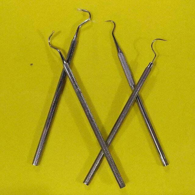 Sonde besi stainless steel gigi