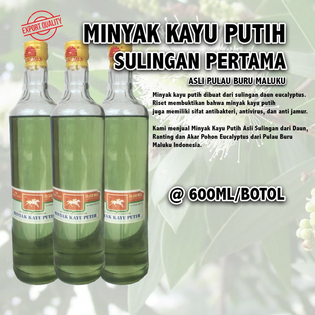 Minyak Kayu Putih Asli Sulingan Pertama 600ml Merk Lomba Kuda Fajar Mas Ambon Maluku Indonesia