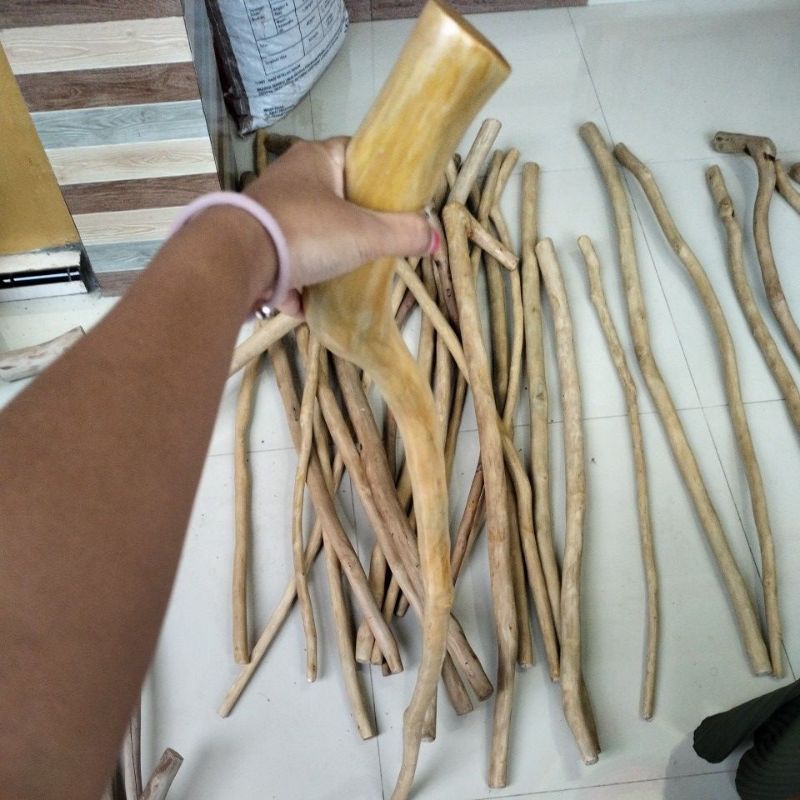 Tongkat jalan kayu walikukun