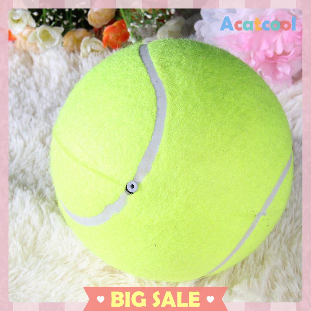 9.5' Big Giant Pet Dog Puppy Tennis Ball Thrower Chucker Launcher Play Toy