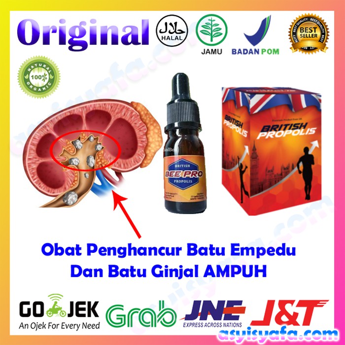 Obat Penghancur Batu Empedu Dan Batu Ginjal Herbal British Propolis Indonesia