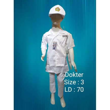 Baju profesi anak tk dan sd