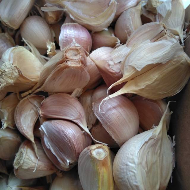 

Bawang putih kating 500g BY MDS