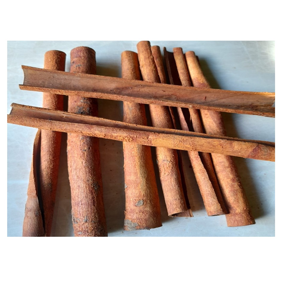 

Kayu Manis Asli Gamalama Ternate 100 % Original Maluku Utara