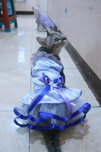 Dress biru satin motif lucu untuk kucing dan anjing size S M L XL