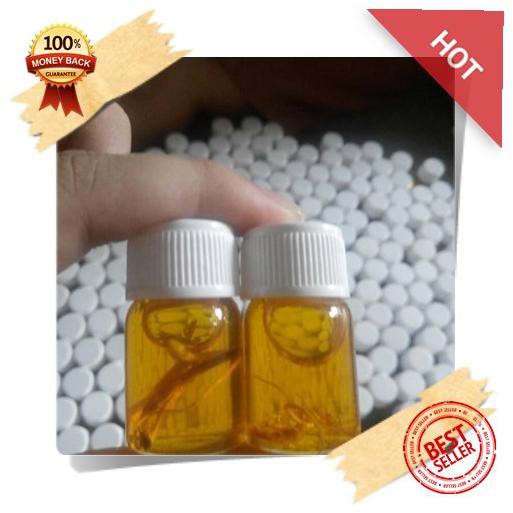 

TERLARIS! Minyak Bulus Gingseng 10ml(kecil)