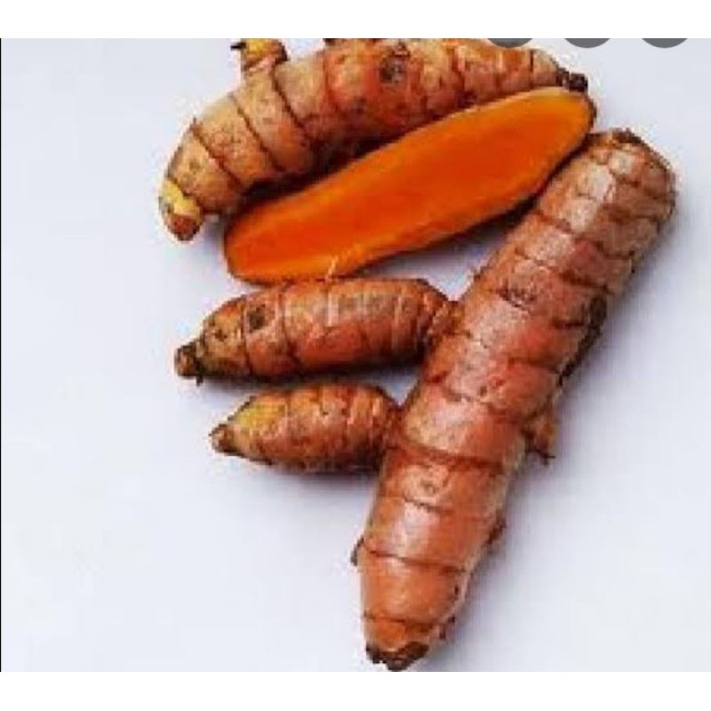 

kunyit segar 1kg
