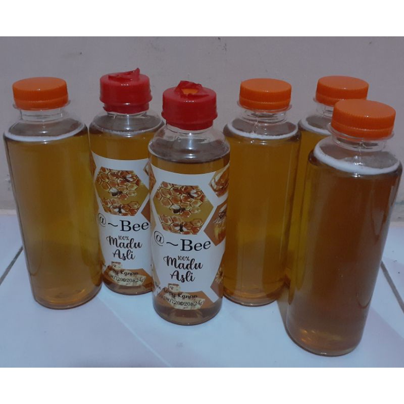 

Madu Lebah Melifera
