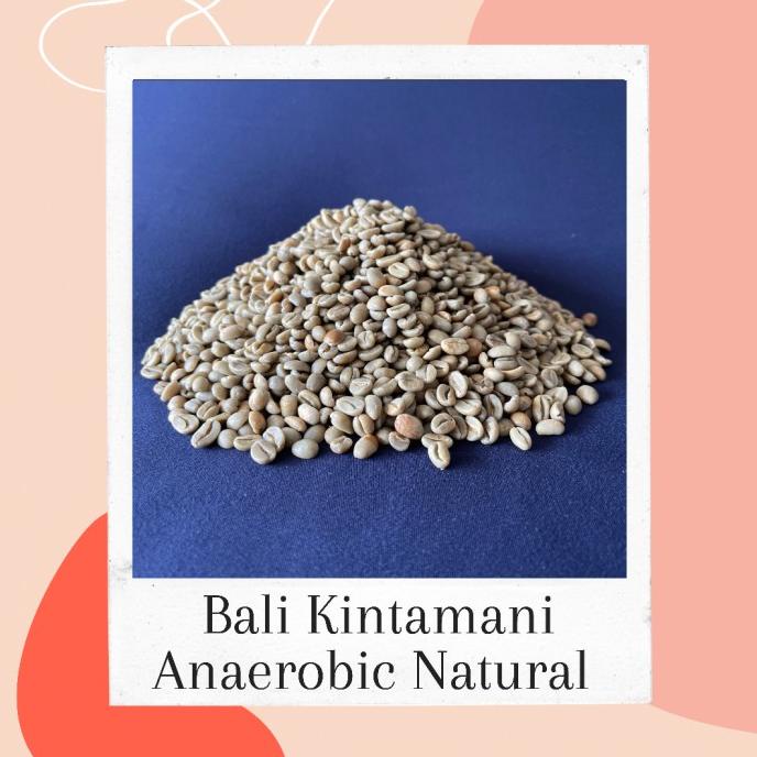 

Big Sale Green Bean - Kopi Anaerobic Natural Bali Kintamani 1 KG Big Sale