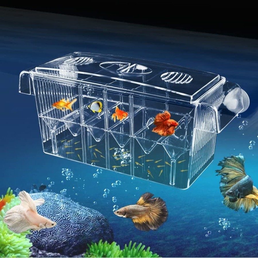 Aquarium Box Acrylic  Breeding Box Internal XL Guppy Molly Fish Wadah Karantina Isolation Ikan