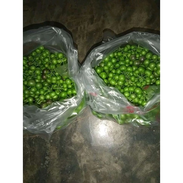 

lencak lenca fres 1kg