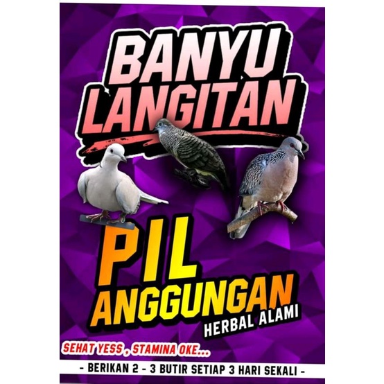 pil perkutut banyu langitan anggungan
