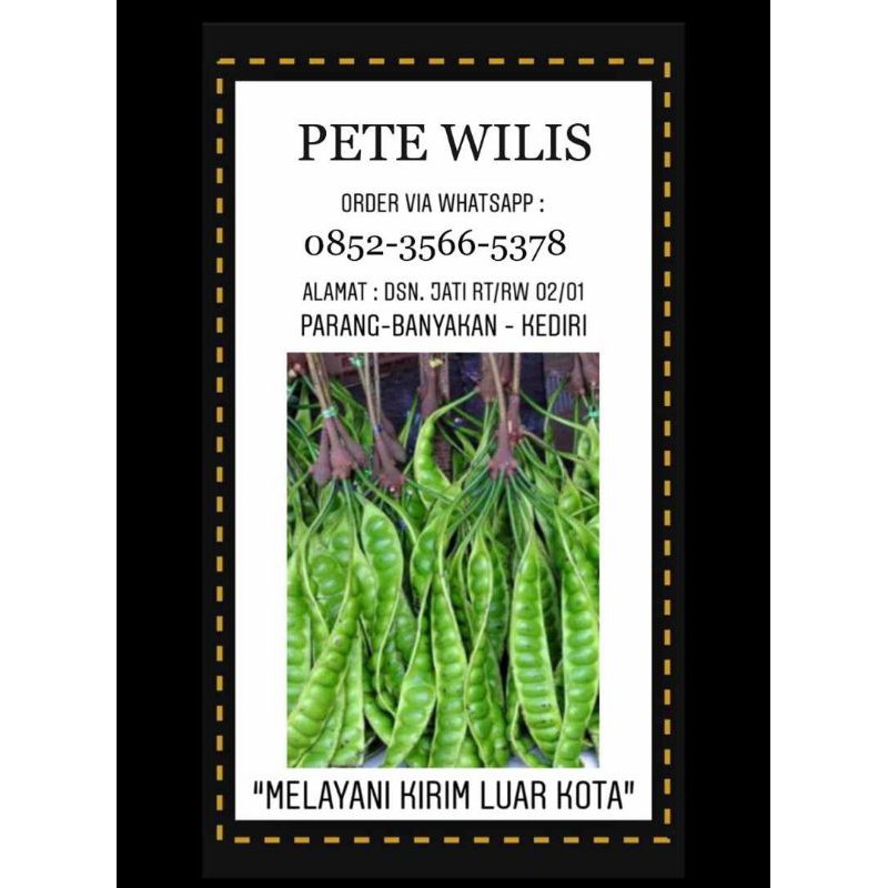 

PETE SUPER / PETAI / PETE GUNUNG WILIS ASLI