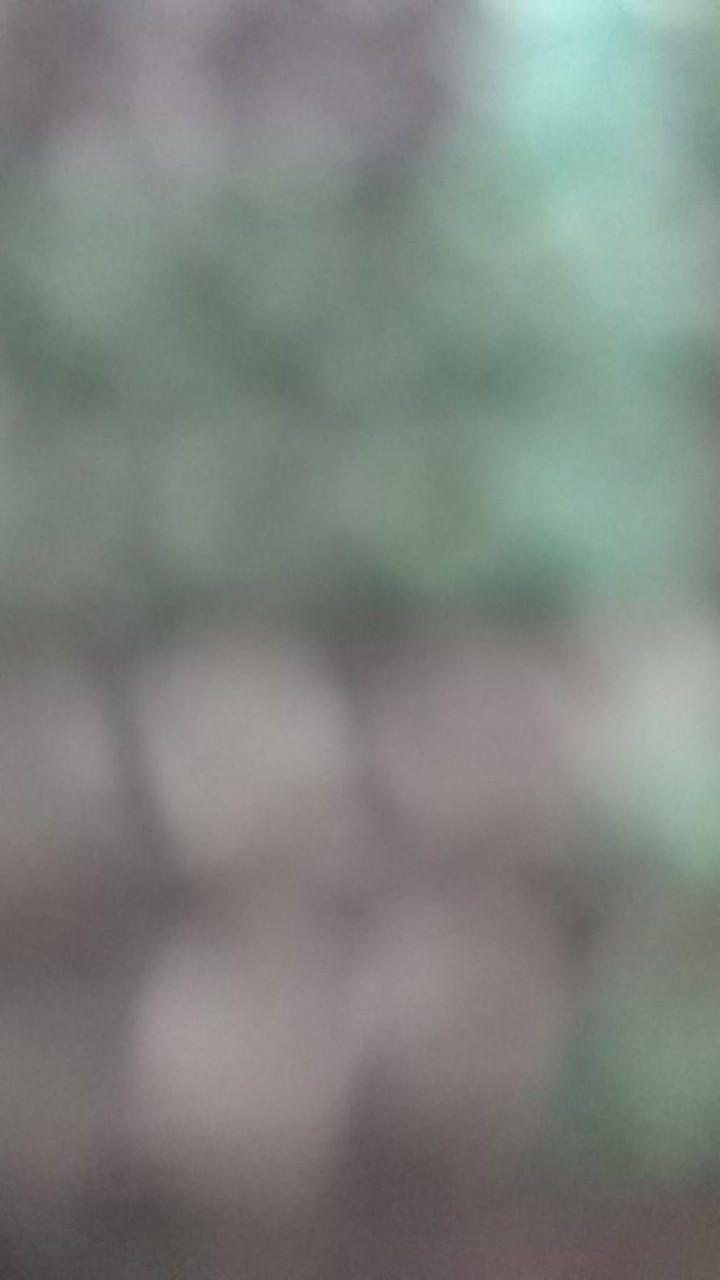 Kalung Liontin Banser Logo