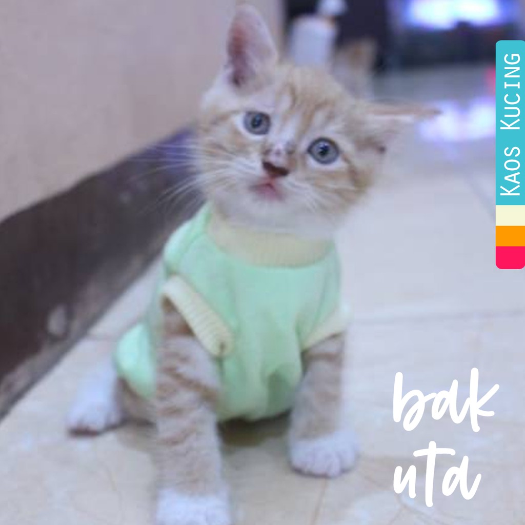 Kaos hijau polos simple untuk kucing dan anjing / baju kucing kaos size S M L XL