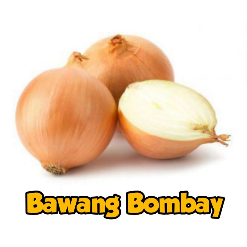 

Bawang Bombay - Bombai untuk aneka masakan