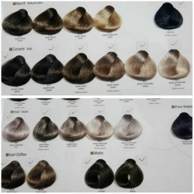 alfaparf milano evolution abu blond ash grey blond cat  rambut + oxydant