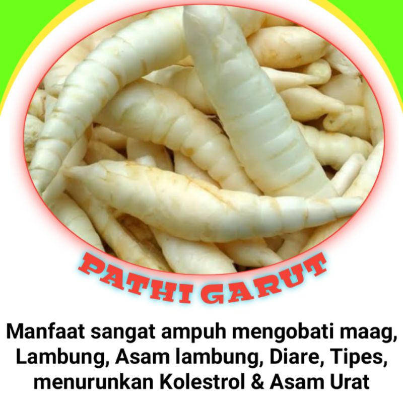 

Tepung umbi Pati Garut / Pati irut asli 1kg