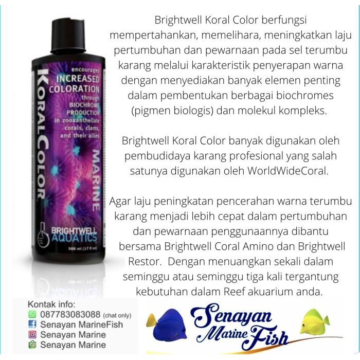 

Fuji | Brightwell Koral Color 250Ml Murah Meriah Ready