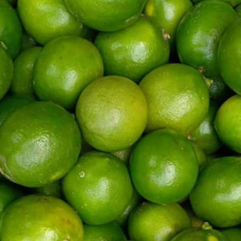 

Buah Lemon California Hijau Denpasar