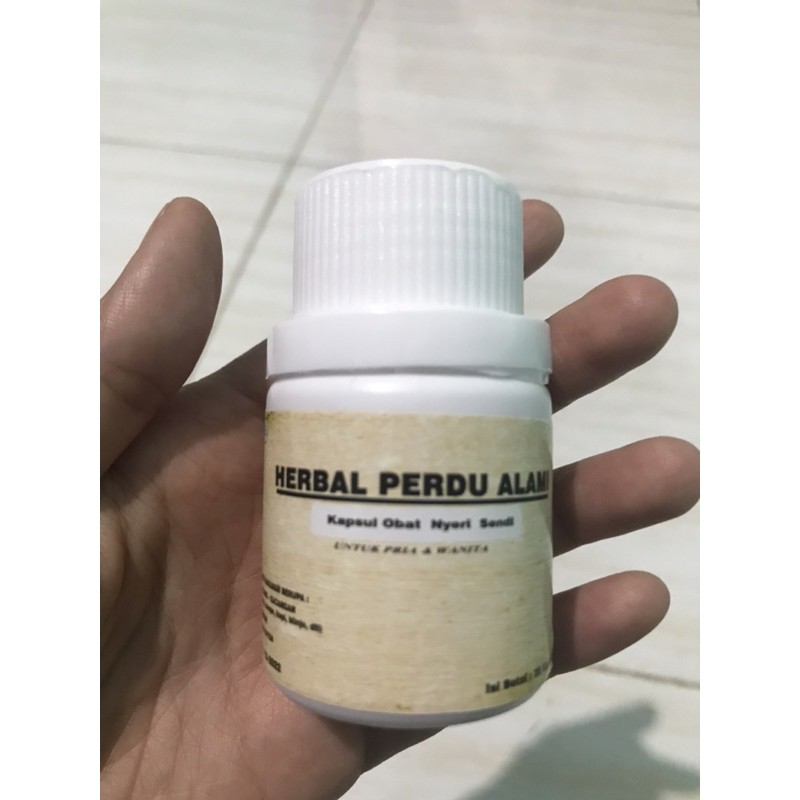 

obat herbal buah perdu