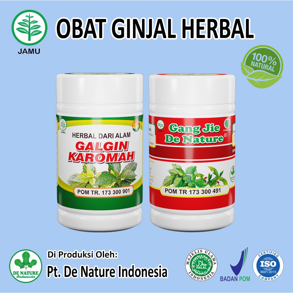 Obat Ginjal, Ginjal Bocor, Ginjal Bengkak, Batu Ginjal, Gagal Ginjal, Kencing Batu, Batu Empedu