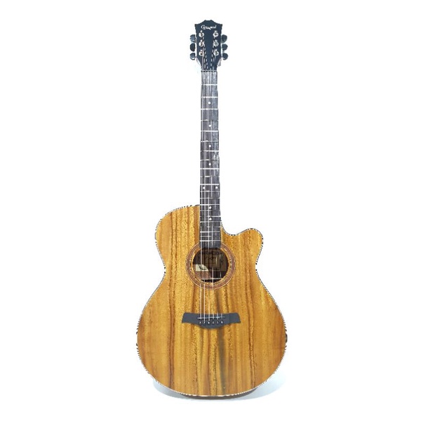 Gitar Akustik Camwood Original Tipe IWC-235 NSK Senar String Trusrkd Jakarta Murah