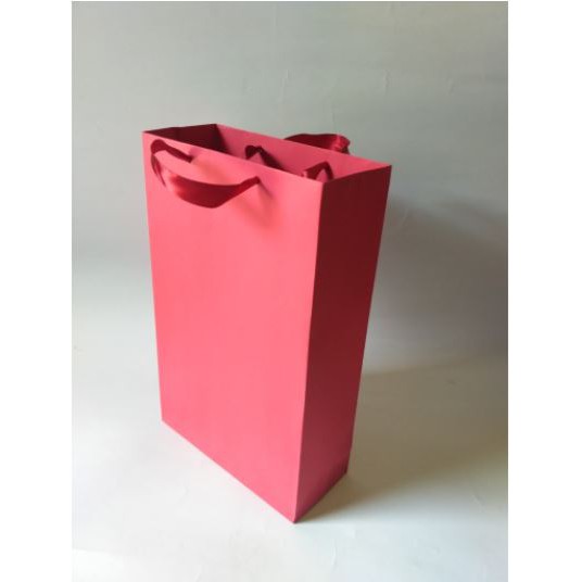 

Paperbag Warna Polos, Tas Kertas BC (Brief Card) Warna ukuran 20x9x33