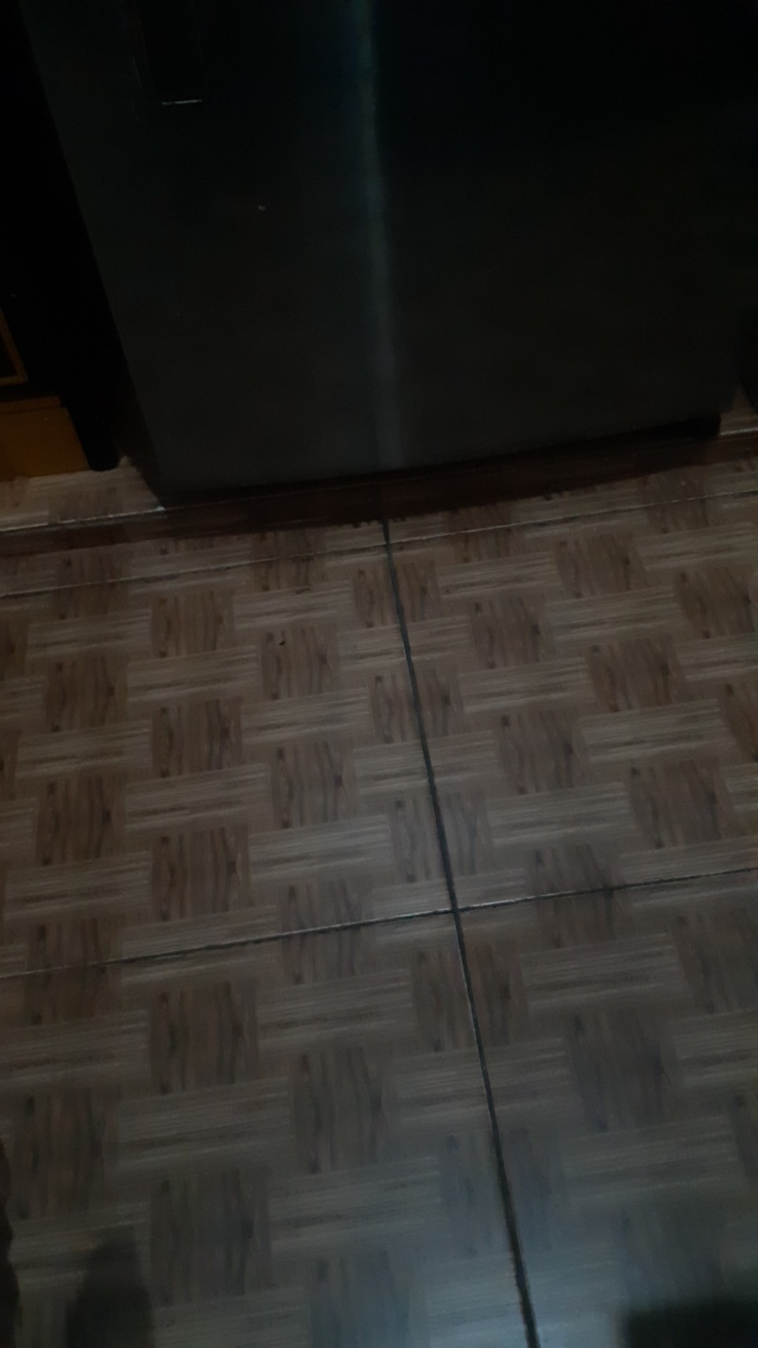 Home Guard Homeguard Cairan Anti Semut 100ml 250ml 500ml