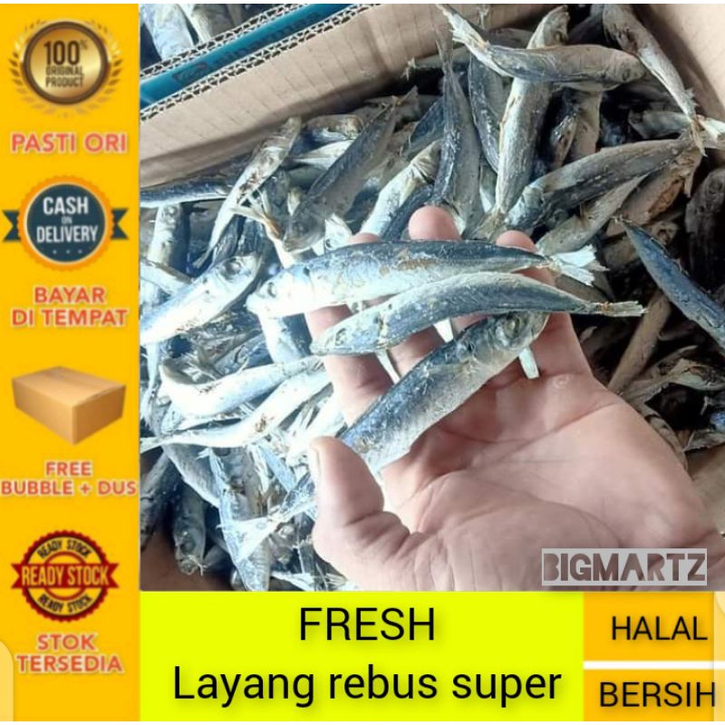 

ikan layang rebus super fresh