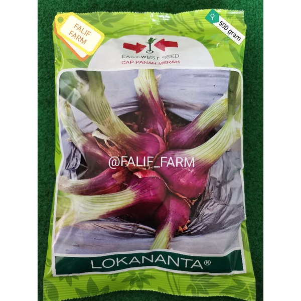 [Bisa COD] Bawang Merah Biji / TSS LOKANANTA Kemasan Original 500 gram Cap Panah Merah Paling Murah