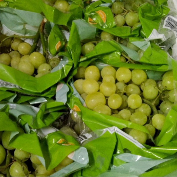 

Anggur Hijau Seedless Fresh