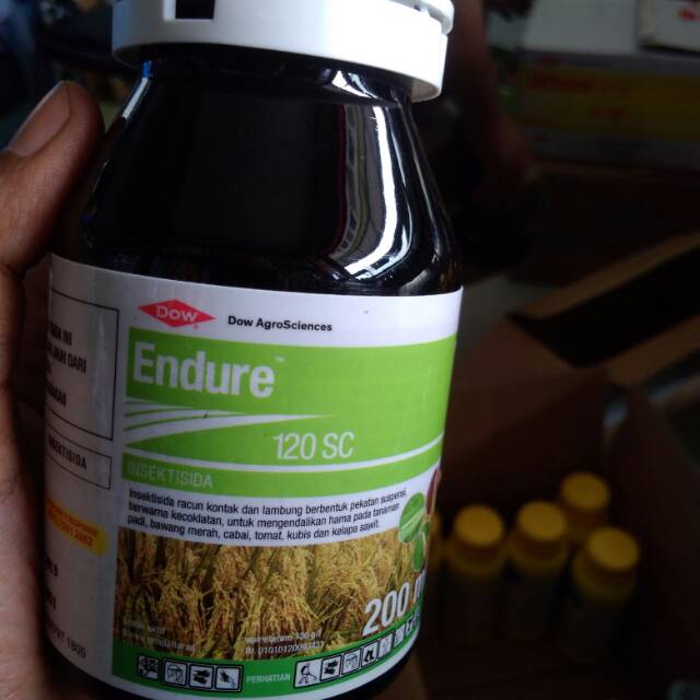 Insektisida Endure 120SC
