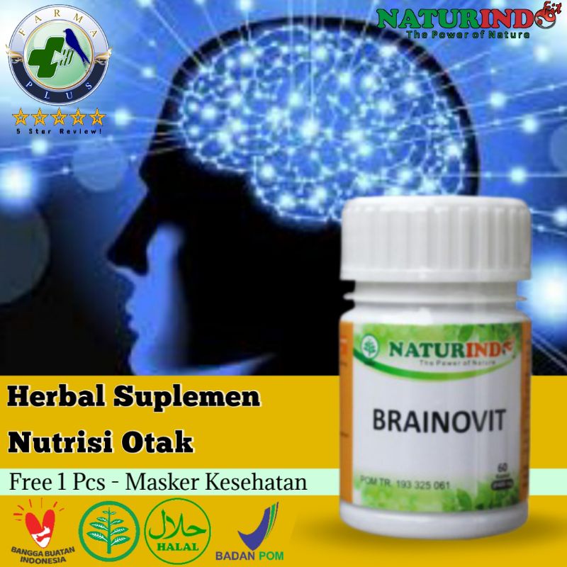 Jual Herbal Nutrisi Otak Obat Pikun Obat Syaraf Otak Obat Gampang