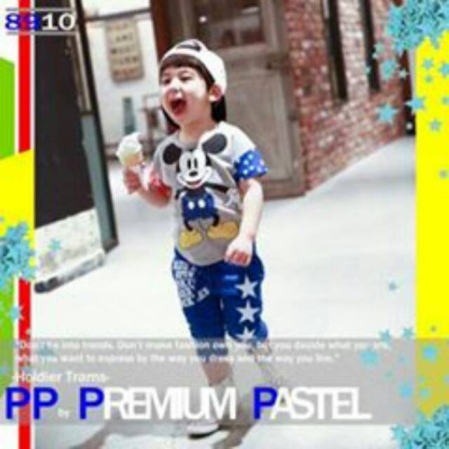 

Premium Pastel 8910