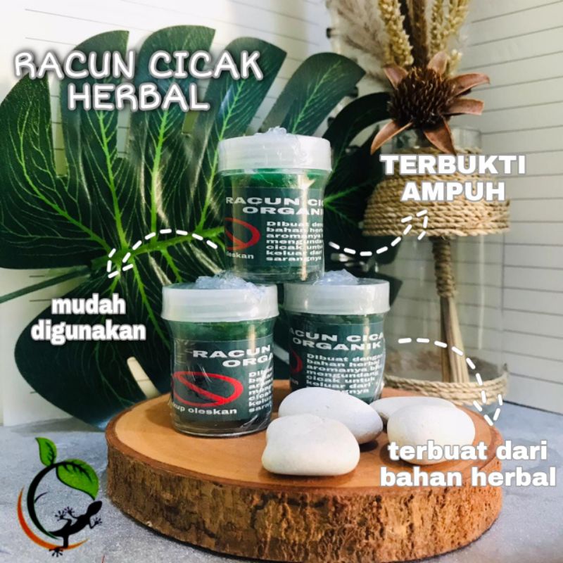 RACAK CICAK HERBAL NO 1 SEKALI JILAT CICAK MATI SUPER AMPUH 100%