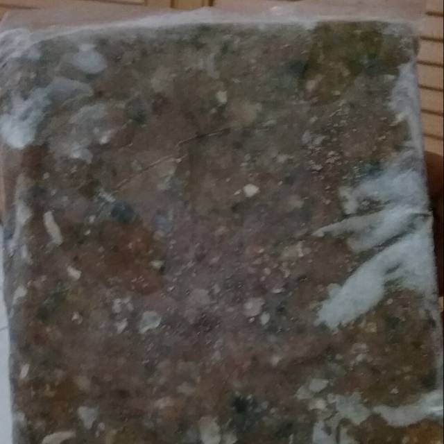 

Tenggiri Kulit Giling / Ikan Tengiri Kulit 1kg [Bisa COD]