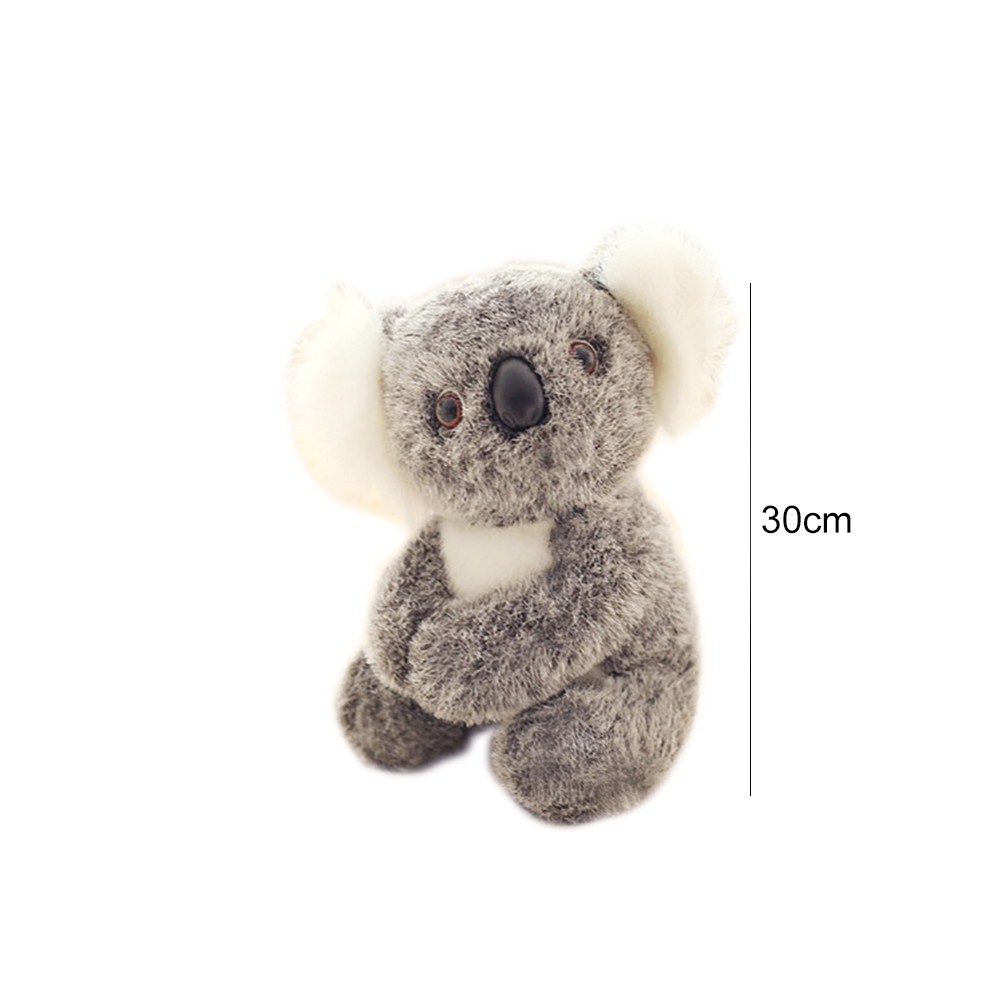 20++ Gambar hewan koala kartun release