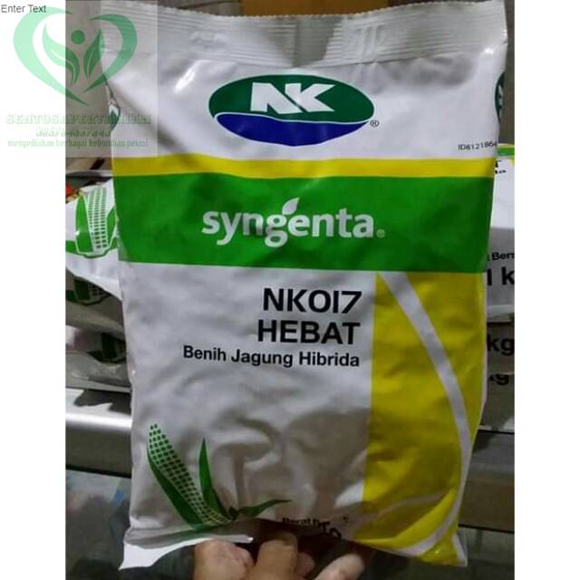 benih jagung hibrida NK017 HEBAT 1kg dari SYNGENTA