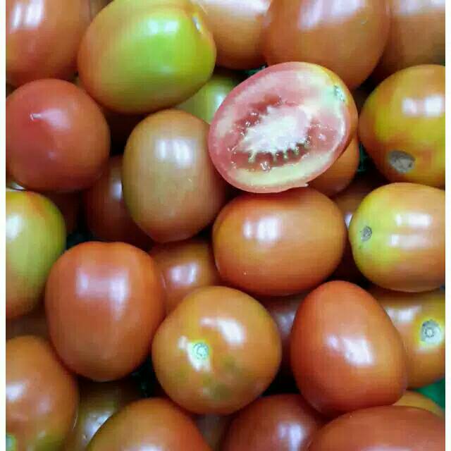

Tomat buah 500gr